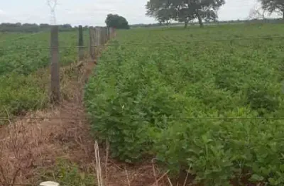 Chácara / sítio à venda na ÁRea Rural De Capinópolis, Zona Rural, Capinópolis