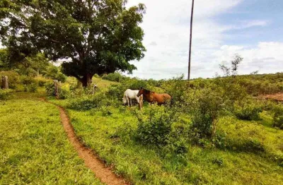 Chácara / sítio à venda na Área Rural, Área Rural de Uberlândia, Uberlândia