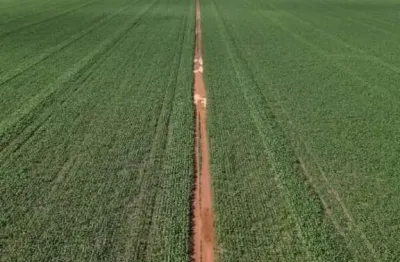 Chácara / sítio à venda na Área Rural, Zona Rural, Sinop