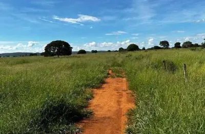 Chácara / sítio à venda na ÁRea Rural De João Pinheiro, Zona Rural, João Pinheiro