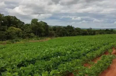 Chácara / sítio à venda na ÁRea Rural De Quirinopolis, Zona Rural, Quirinópolis