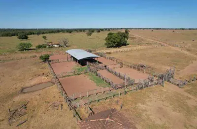 Fazenda à venda, area rural de jussara - jussara/go
