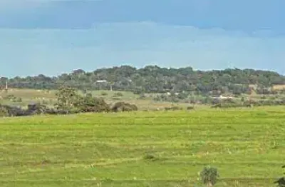Fazenda à venda, área rural de monte alegre - monte alegre de minas/mg