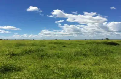 Fazenda à venda, 4 quartos, 1 suíte, centro - barra do garcas/mt