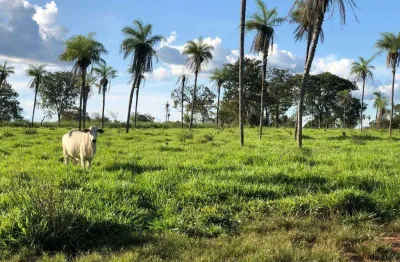 Oportunidade: fazenda á venda na região sul de tocantins
