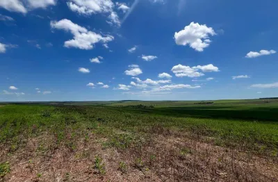 Fazenda espetacular em cristalina, go - 1132 hectares