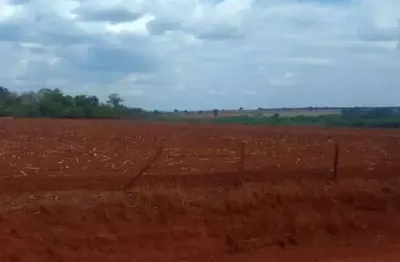 Oportunidade: fazenda dupla aptidão de 2.947,56 hectares em flores de goiás