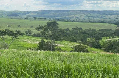 Chácara / sítio com 1 quarto à venda na Área Rural, Área Rural de Catalão, Catalão