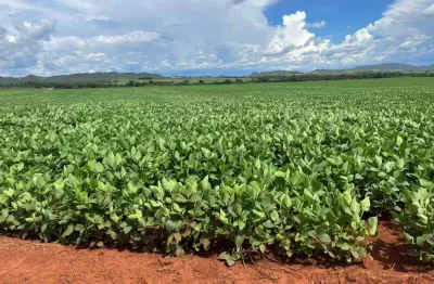 Chácara / sítio com 1 quarto à venda na Rural, Centro, Padre Bernardo