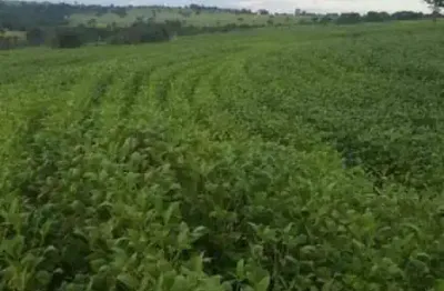 Chácara / sítio com 1 quarto à venda na Area Rural, Zona Rural, Prata