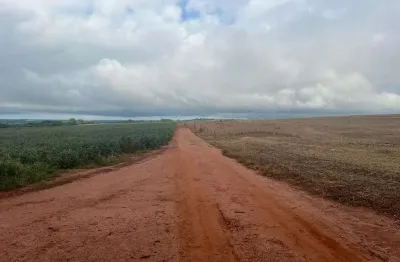 Grande fazenda na área rural entre uberlândia a monte alegre - mg