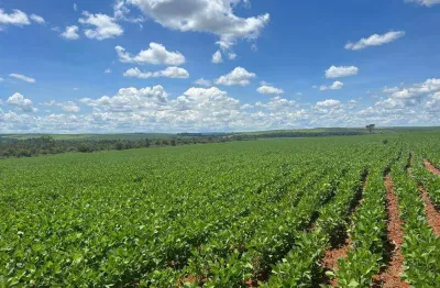 Excepcional fazenda dupla aptidão com 2.300 hectares sendo 1.200 hectares de lavoura e muito bem estruturada à venda em cristalina/go