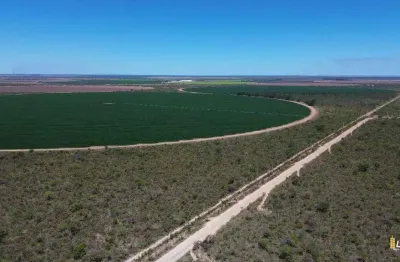 Fazenda à venda, area rural de jaborandi - ba - jaborandi/ba
