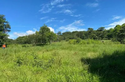 Fazenda à venda, area rural de araguari - araguari/mg