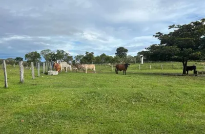 Fazenda à venda, área rural de niquelândia - niquelândia/go