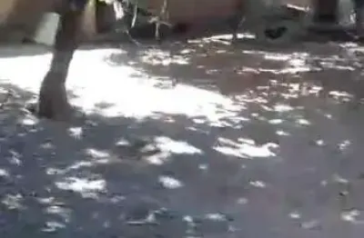 Chácara à venda, 4 quartos, 1 suíte, morada nova - uberlândia/mg