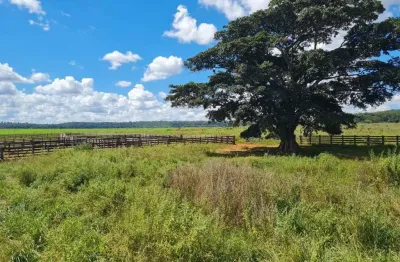 Fazenda à venda, área rural de paranaiguara - paranaiguara/go