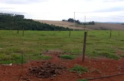 Chácara / sítio à venda na Zona Rural, Área Rural de Araxá, Araxá