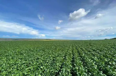 Fazenda à venda, area rural sao joao da aliança - são joão d'aliança/go
