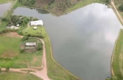 Fazenda à venda, area rural bela vista - go - bela vista de goiás/go