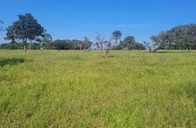 Chácara / sítio à venda na Zona Rural, Área Rural de Uberlândia, Uberlândia