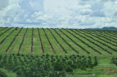 Chácara / sítio à venda na Avenida Getúlio Vargas, Área Rural de Uberlândia, Uberlândia