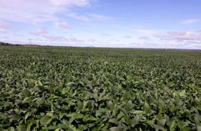 Chácara / sítio à venda na Zona Rural, Zona Rural, Porangatu