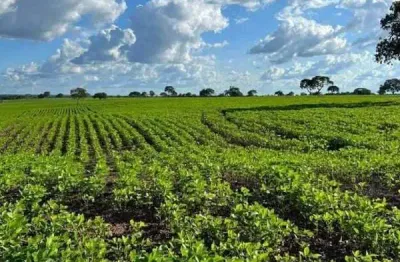 Fazenda à venda, area rural de paraiso do tocantins -to - paraíso do tocantins/to