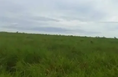 Fazenda à venda, arera rural de centenario - to - centenário/to