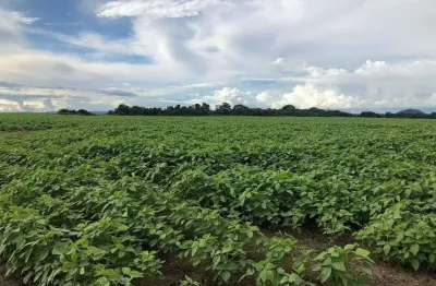 Chácara / sítio à venda na Zona Rural, Zona Rural, Confresa