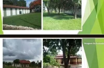 Fazenda à venda, area rural sao felix do araguaia - mt - são félix do araguaia/mt