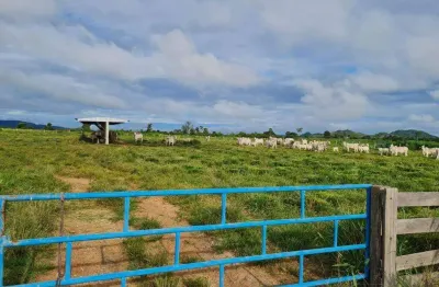 Fazenda à venda, área rural de vila rica - mt - vila rica/mt