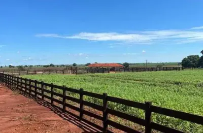 Fazenda à venda, area rural de gouvelandia-go - gouvelândia/go