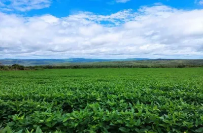 Fazenda à venda, area rural de doverlandia - go - doverlândia/go