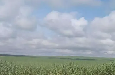 Fazenda à venda, área rural de mineiros - mineiros/go