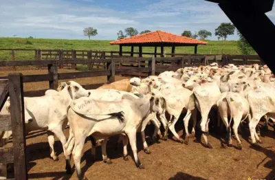 Fazenda à venda, area rural de santa vitória - santa vitoria/mg