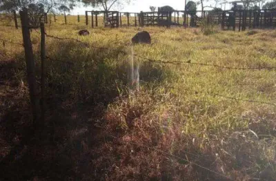 Fazenda à venda, área rural de campo alegre de goiás - campo alegre de goias/go