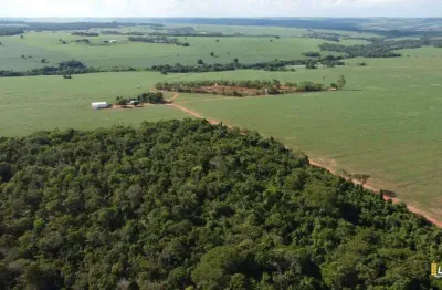 Chácara / sítio à venda na Zona Rural, Área Rural de Jataí, Jataí