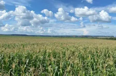 Fazenda à venda, area rural de balsas - ma - balsas/ma