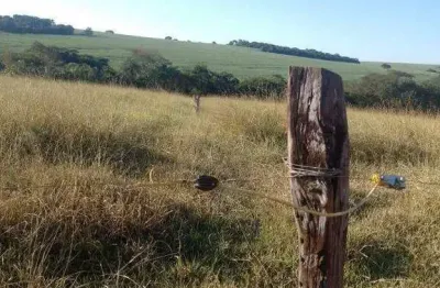 Fazenda à venda, area rural campo florido mg - campo florido/mg