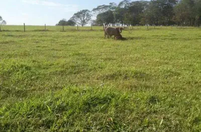 Fazenda à venda, area rual de campina verde - campina verde/mg