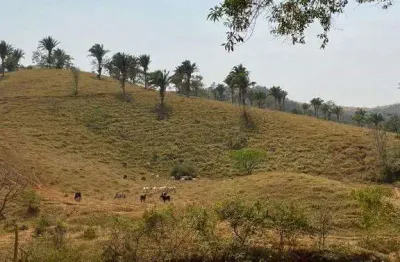 Fazenda à venda, area rural de lagamar-mg - lagamar/mg