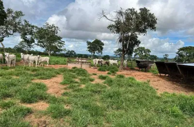 Fazenda à venda, area rural de torixoreu-mt - torixoréu/mt