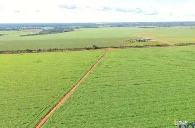 Fazenda à venda, area rural de sao felix do araguaia - mt - são félix do araguaia/mt