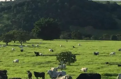Fazenda à venda, área rural de brasilia - brasilia/df