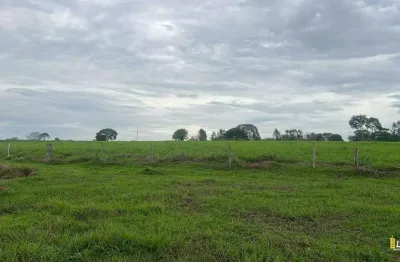 Chácara / sítio à venda na Avenida Getúlio Vargas, Centro, Uberlândia