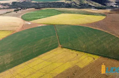 Fazenda à venda, area rural de cristalina - cristalina/go