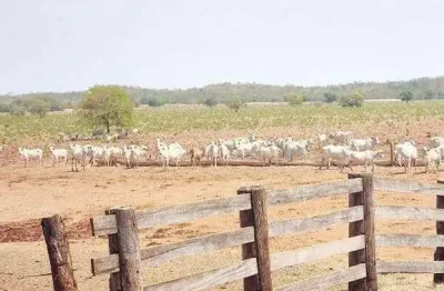 Fazenda à venda, area rural cocalinho - mt - cocalinho/mt