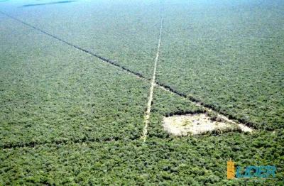 Fazenda à venda, area rural de bom jesus-pi - bom jesus/pi