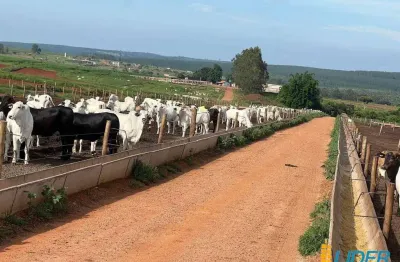Fazenda à venda, área rural de uberlândia - uberlândia/mg